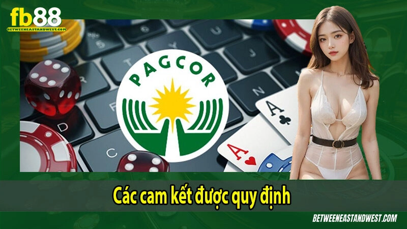 Giấy Phép Hoạt Động FB88 3 Cam kết vận hành sau khi được cấp phép