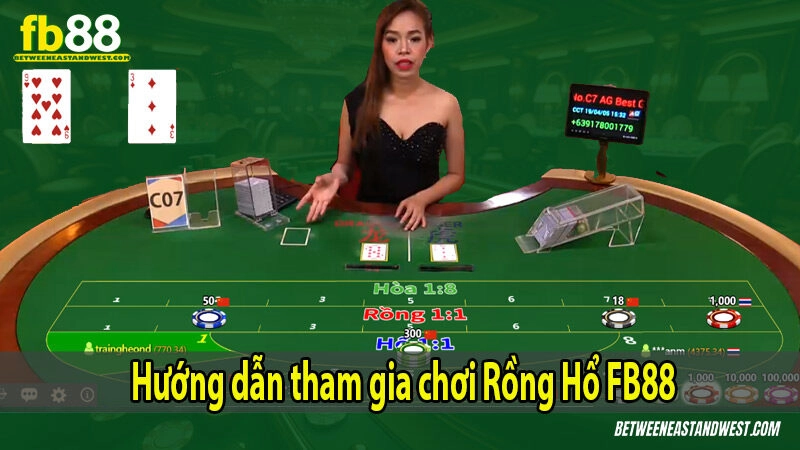 Hướng Dẫn Chơi Rồng Hổ Cho Người Mới 7 Hướng dẫn tham gia chơi Rồng Hổ FB88