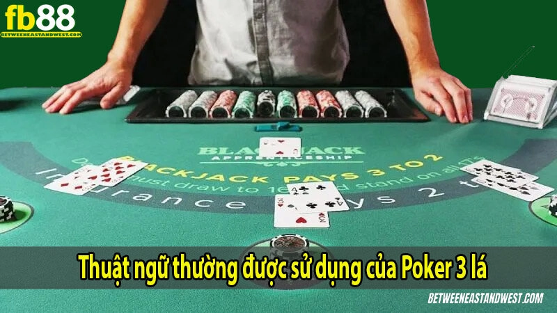 Poker 3 Lá Là Gì? Luật Chơi Và Cách Đặt Cược Hiệu Quả 8 Thuật ngữ thường được sử dụng của Poker 3 lá